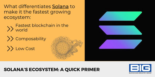 Solana's Ecosystem: A Quick Primer