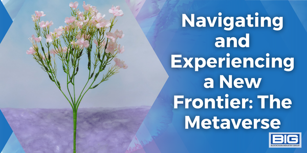 Navigating and Experiencing a New Frontier: The Metaverse