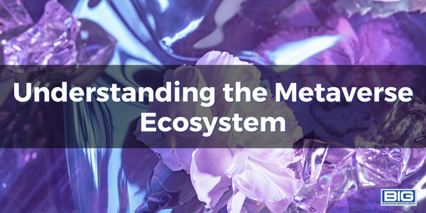 Understanding the Metaverse Ecosystem
