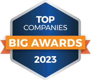 BIG Awards | Top Companies